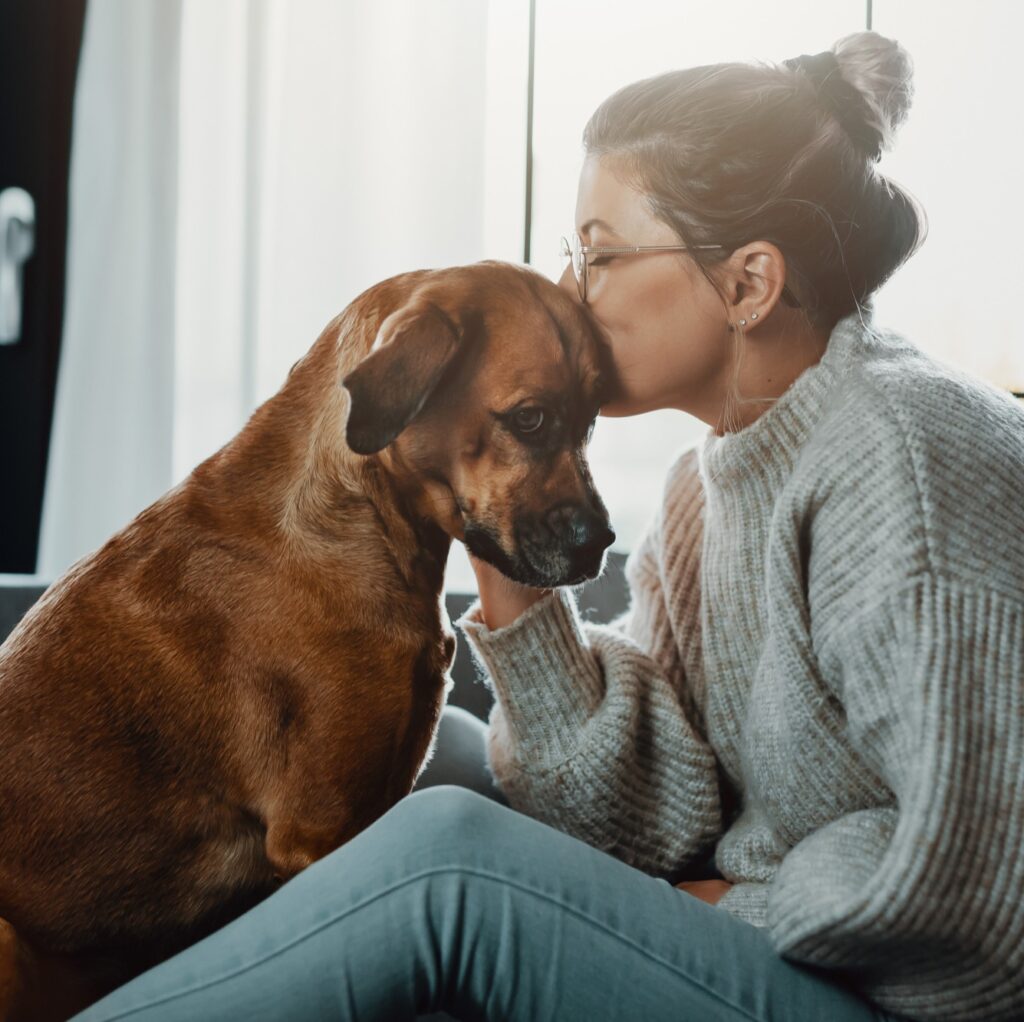 Tu e il tuo cane